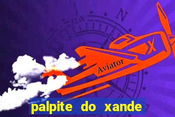 palpite do xande de hoje